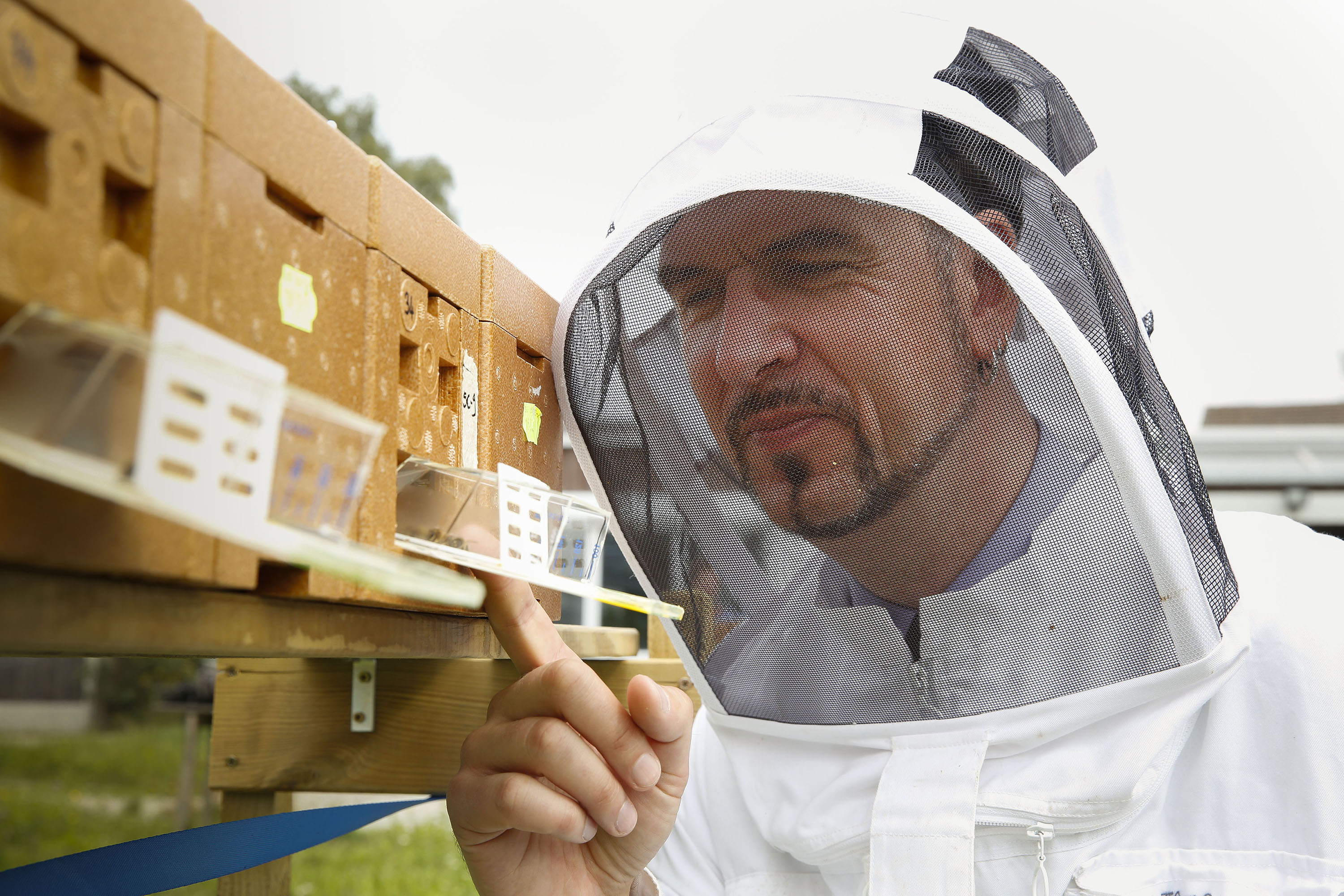 Prof. Dr. Peter Neumann, Vinetum-Stiftungsprofessor für Bienengesundheit am Institut für Bienengesundheit der Universität Bern.
