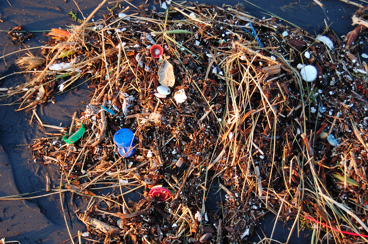 Ein grosser Teil des Plastiks wird an Land geschwemmt. Je nach Standort strandet zwischen einem Drittel bis zur gesamten ins Meer gespülten Plastikmenge. Bild: Wikimedia commons