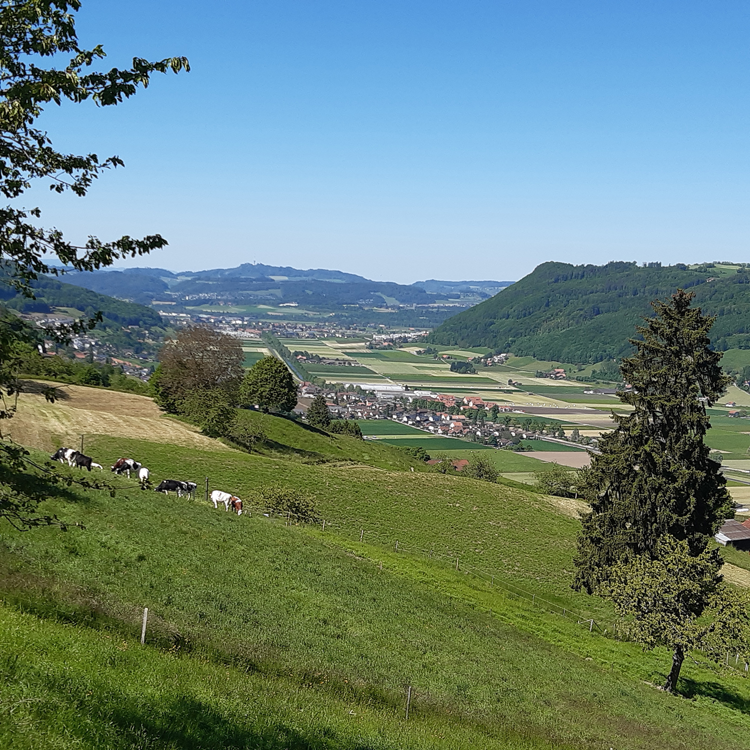 Blick aufs Gürbetal. Ein Team unter der Leitung der Universität Bern konnte zeigen, dass unter der heutigen Talsohle eine 155 Meter tiefe sogenannte Übertiefung liegt. Dieses «verborgene Tal» ist heute mit Geröll und Seeablagerungen zugeschüttet.