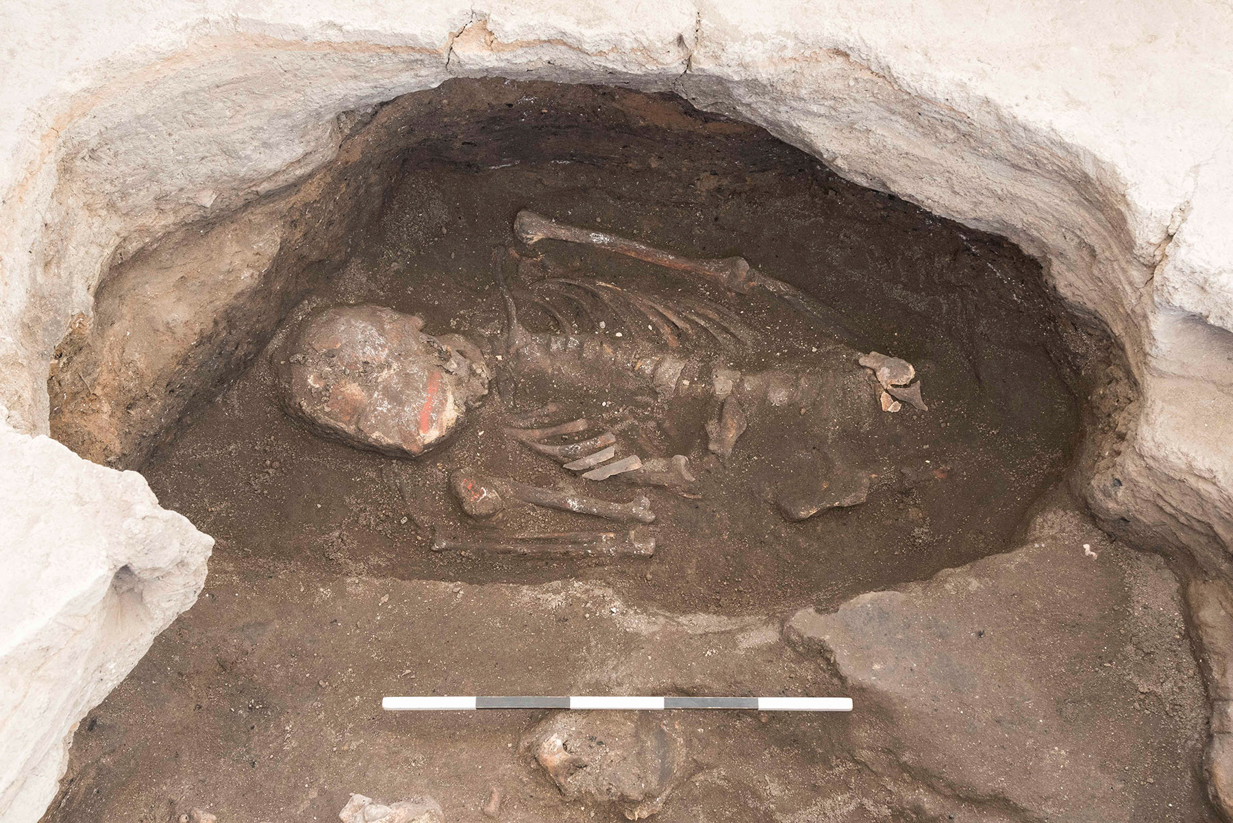 Skelett eines Mannes, verstorben im Alter zwischen 35 und 50 Jahren, mit Zinnoberbemalung auf dem Schädel.