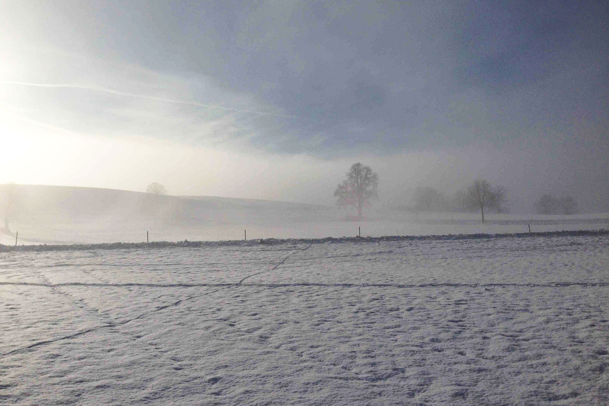 Das Bild zeigt eine verschneite Winterlandschaft.