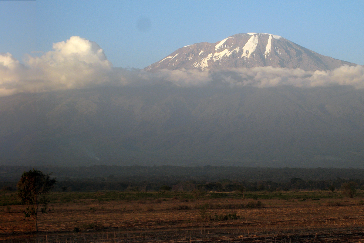 Der 5895 Meter hohe Kilimandscharo mit seinen unterschiedlichen Klimazonen ist für die Ökologie ein bedeutendes Forschungsfeld. (Foto: Anna Kühnel)