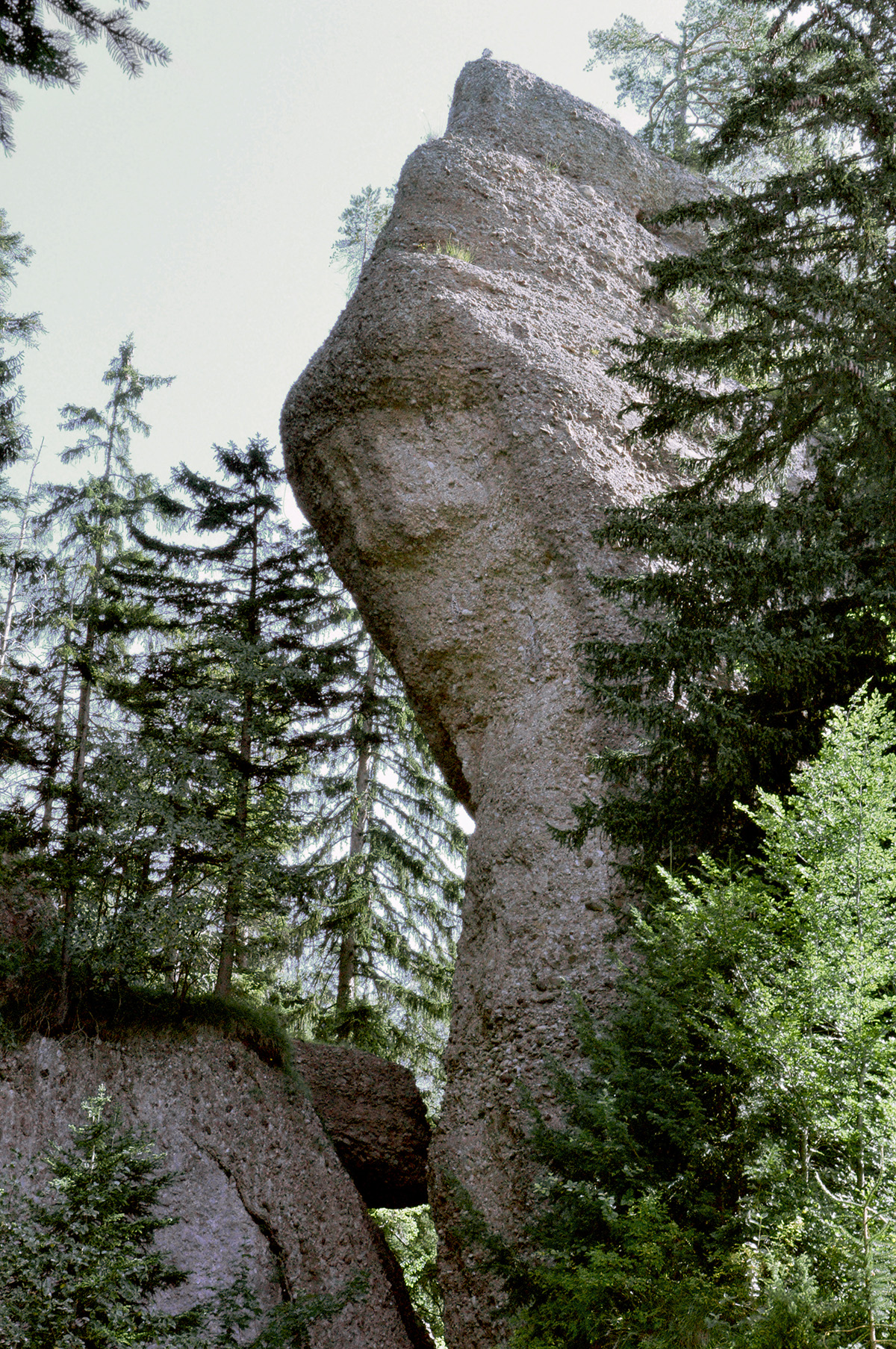 Felsentor bei der Rigi – eine typische Nagelfluh-Formation. © Robrot/WikiCommons