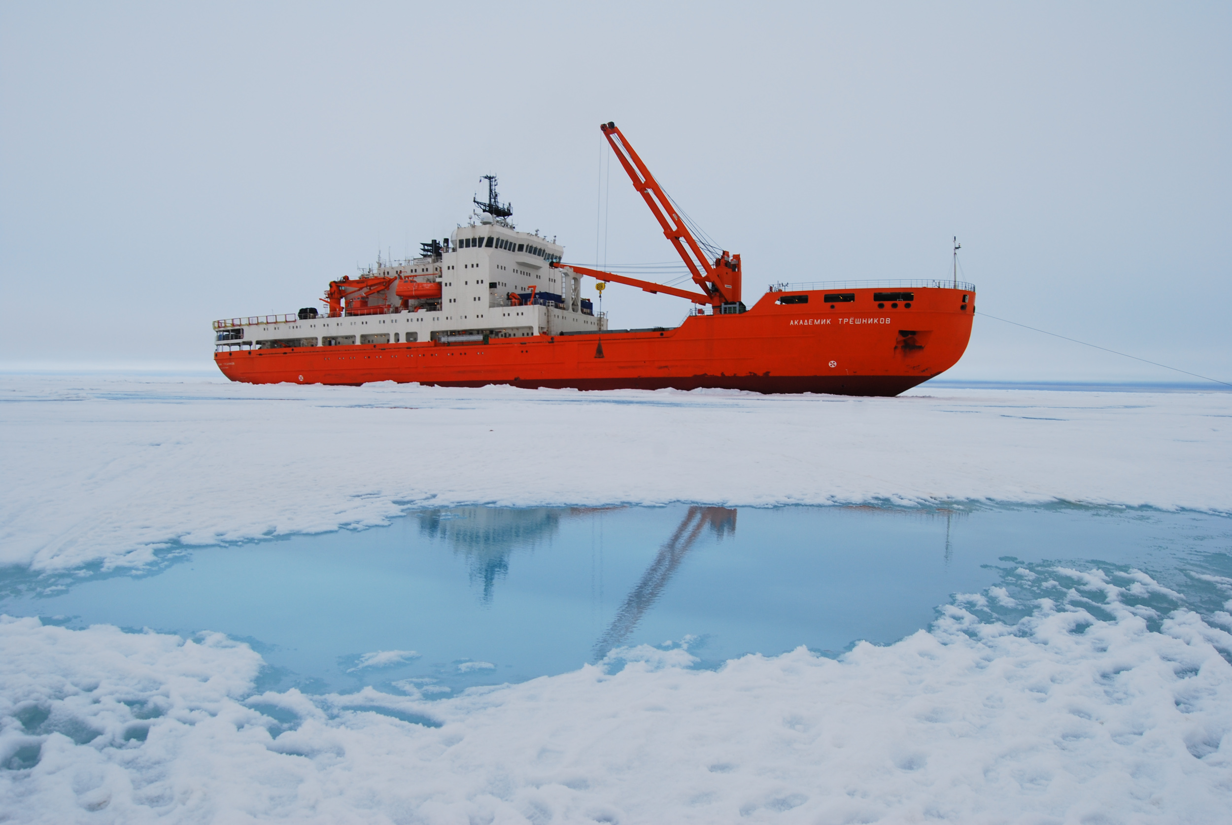 Das russische Forschungsschiff «Akademik Tryoshnikov», mit dem die ACE-Expedition die Antarktis umrunden wird. © AARI