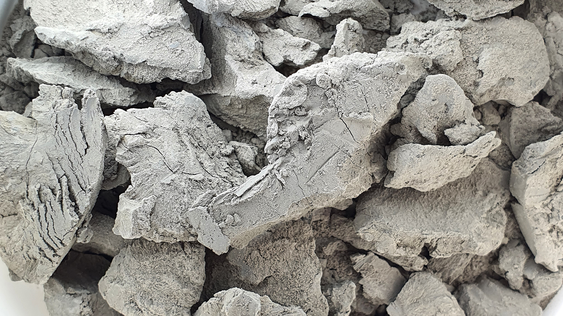 Im Ur-Greifensee abgelagerte, feine Sedimente. (Foto: Yama Tomonaga, Eawag, Uni Basel)