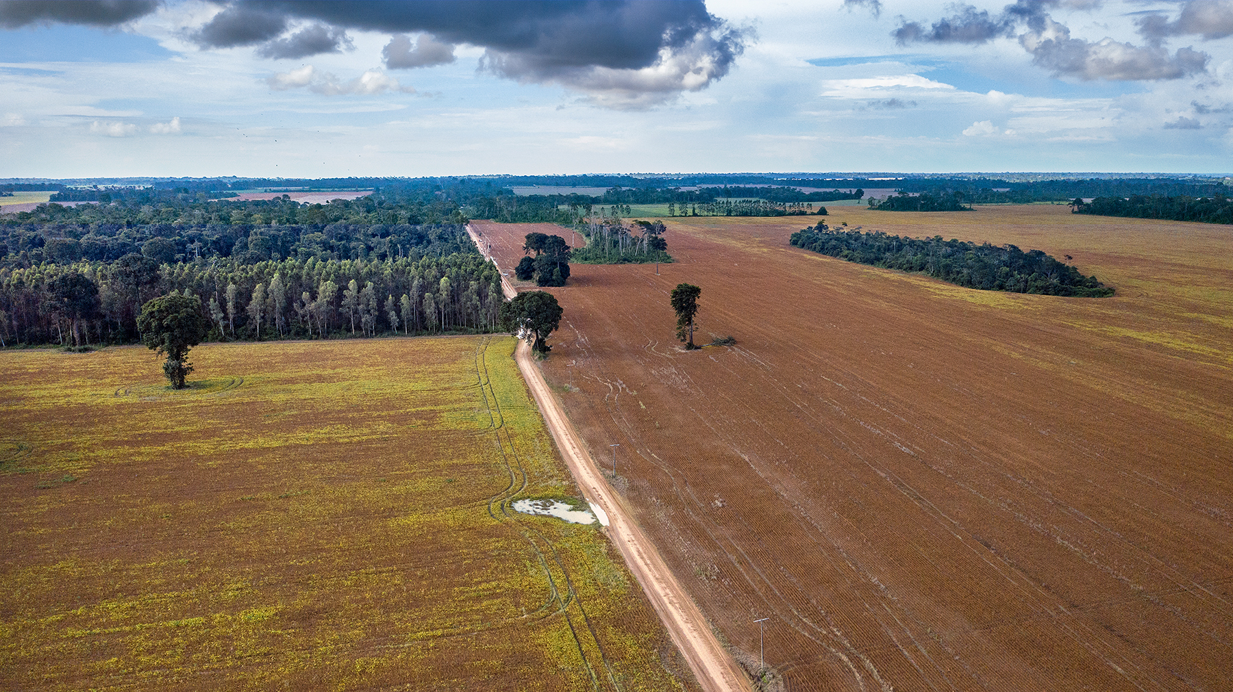 Die fragmentierten und degradierten Wälder in der Region Santarem.  © Marizilda Cruppe und Rede Amazônia Sustentável
