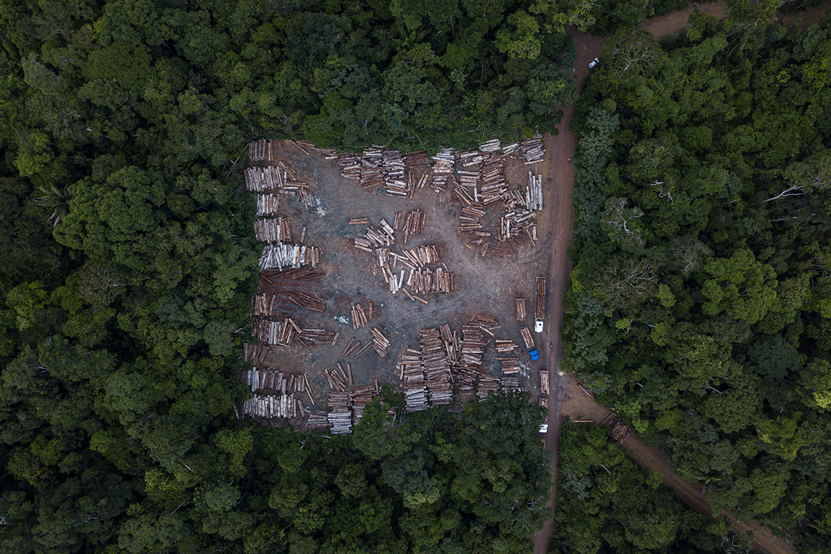 Ein Holzlagerplatz, der das Ausmass des Holzeinschlags in der Landschaft des Amazonasgebiets zeigt.  © Flavio Forner und Rede Amazônia Sustentável