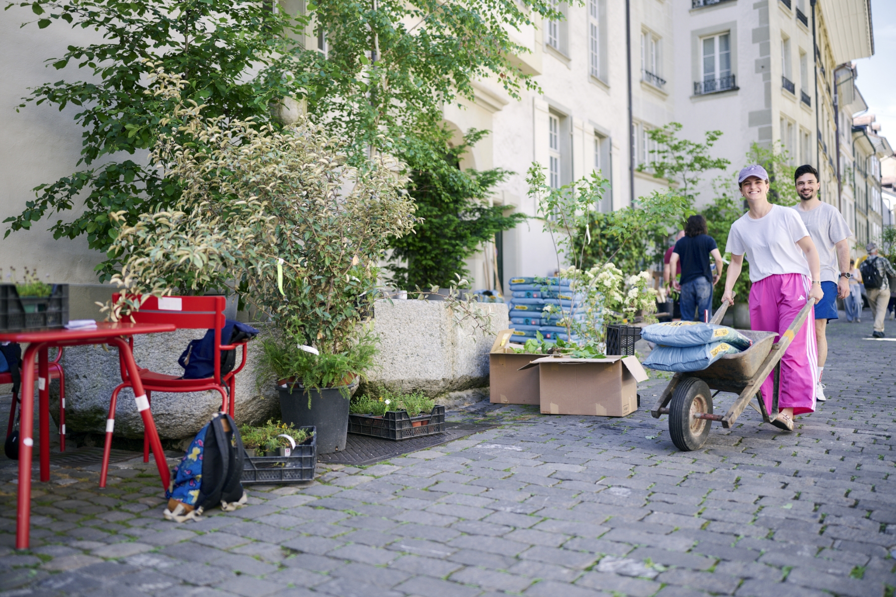 Gemeinsam mit den Anwohnenden wurde die Postgasse und ihre Fenstersimse seit 2023 aktiv begrünt.