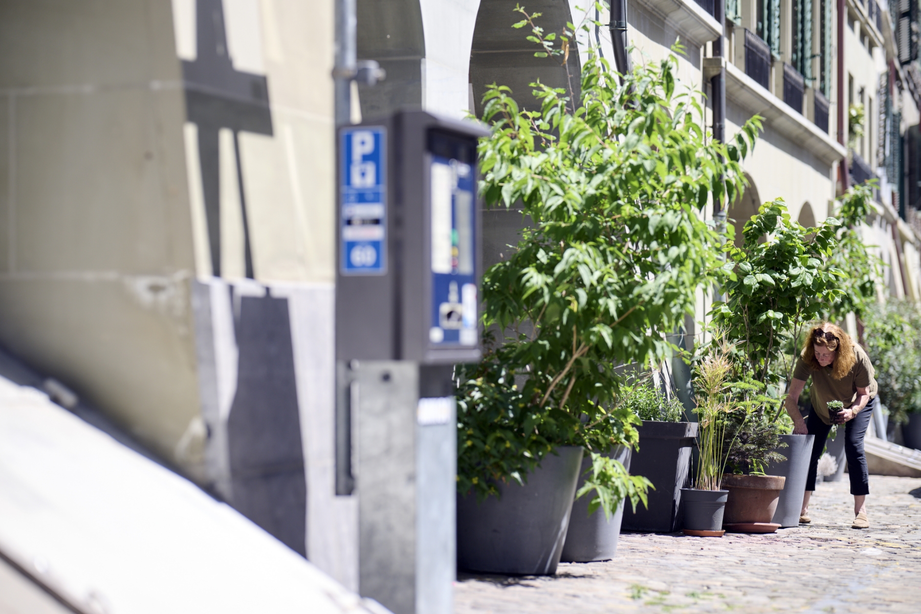 Gemeinsam mit den Anwohnenden wurde die Postgasse und ihre Fenstersimse seit 2023 aktiv begrünt.