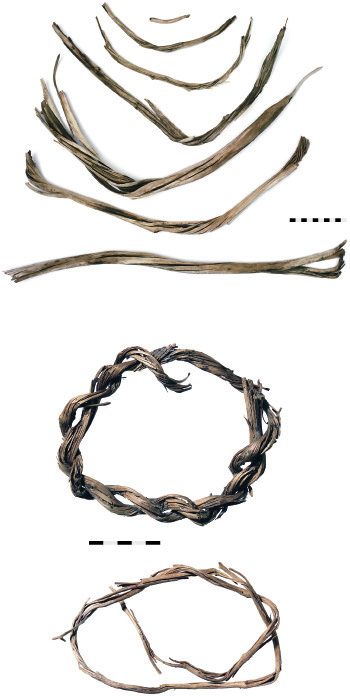 Diese Ringe aus der frühen Bronzezeit wurden aus geflochtenen Zweigen hergestellt. Sie dienten mit grosser Wahrscheinlichkeit frühen Viehhirten zum Errichten von mobilen Zäunen. (Bild: Badri Redha)