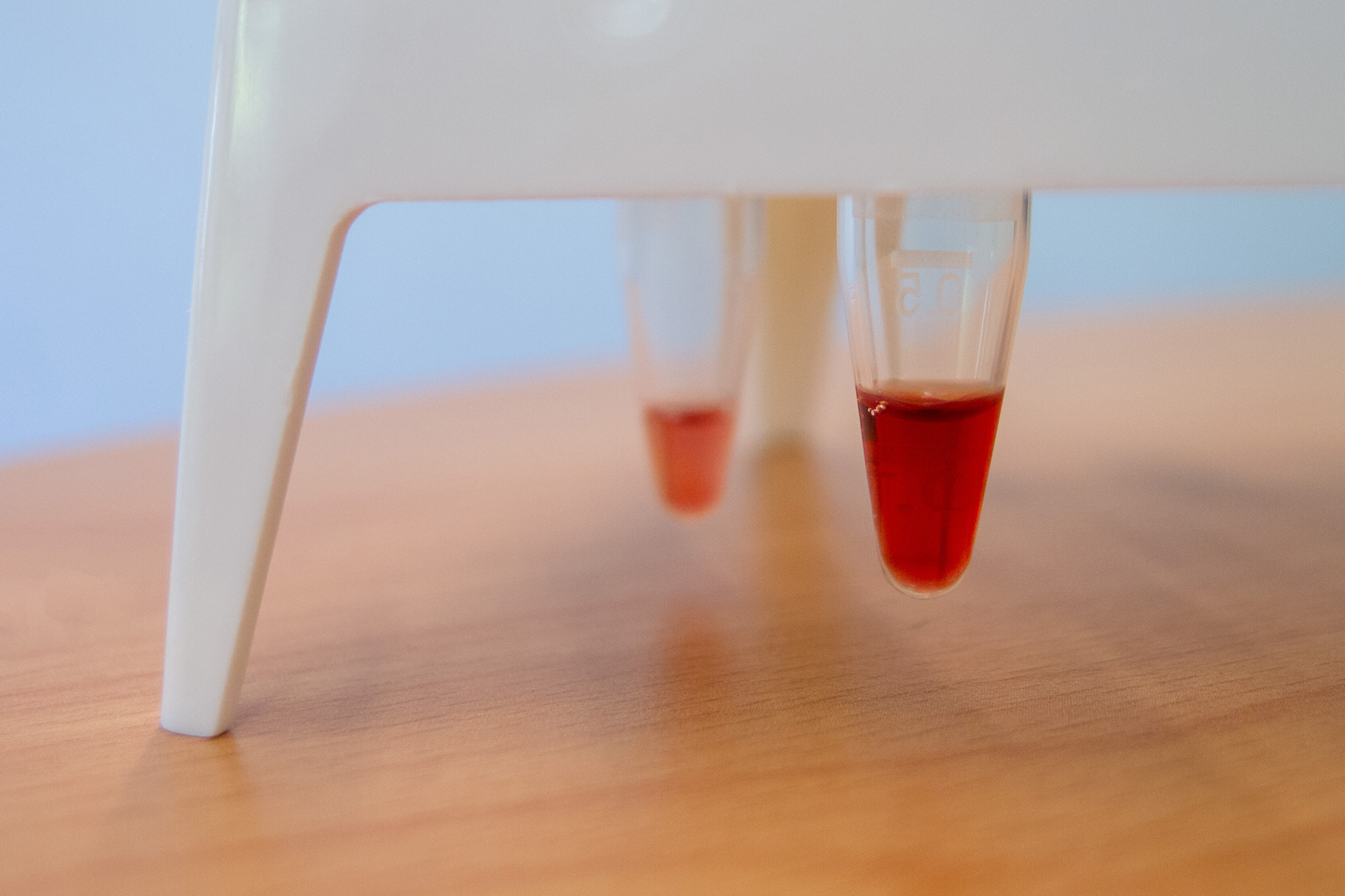 Das Bild zeigt eine Lösung von isolierter und aufgereinigter Superoxide-Oxidase, wie sie im Labor für biochemische Experimente verwendet wurde. Die charakteristische Himbeersaftfarbe erhält das Protein durch zwei sogenannte Hämgruppen, ähnlich dem Hämoglobin, welches dem Blut seinerote Farbe verleiht. © Christoph von Ballmoos
