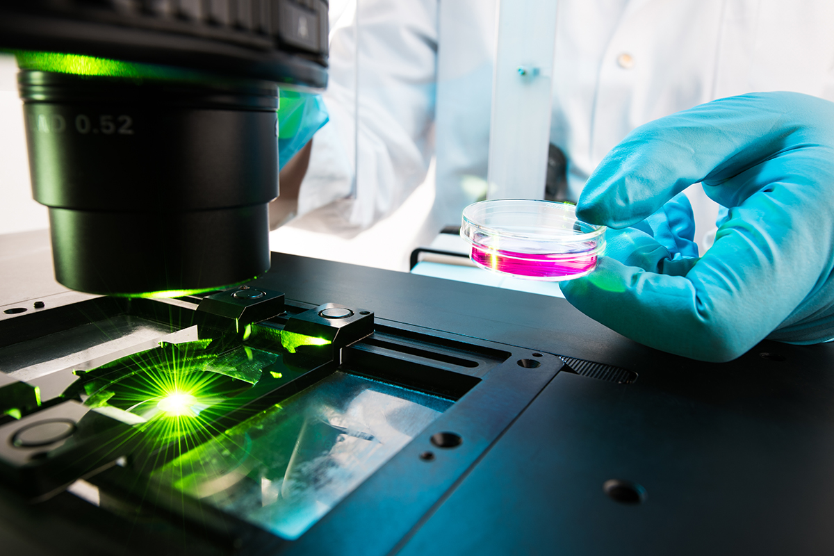 Analyse von DNA-Reparaturmechanismen in Zellen per Fluoreszenz-Mikroskopie. Bild: Conrad von Schubert