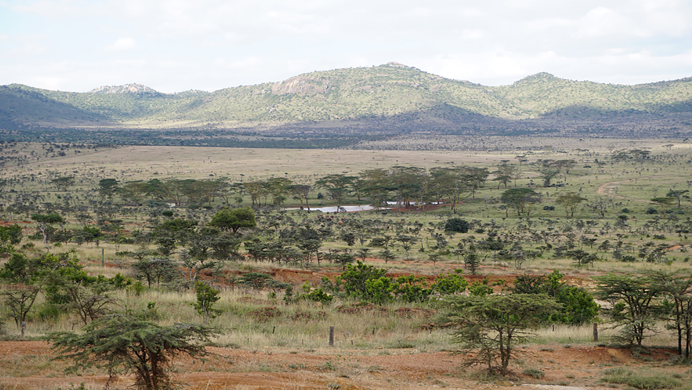 Naturschutzgebiet nördlich des Mount Kenia, eine der beiden Regionen des Pilotprojekts. Bild: Kasper Hurni, CDE