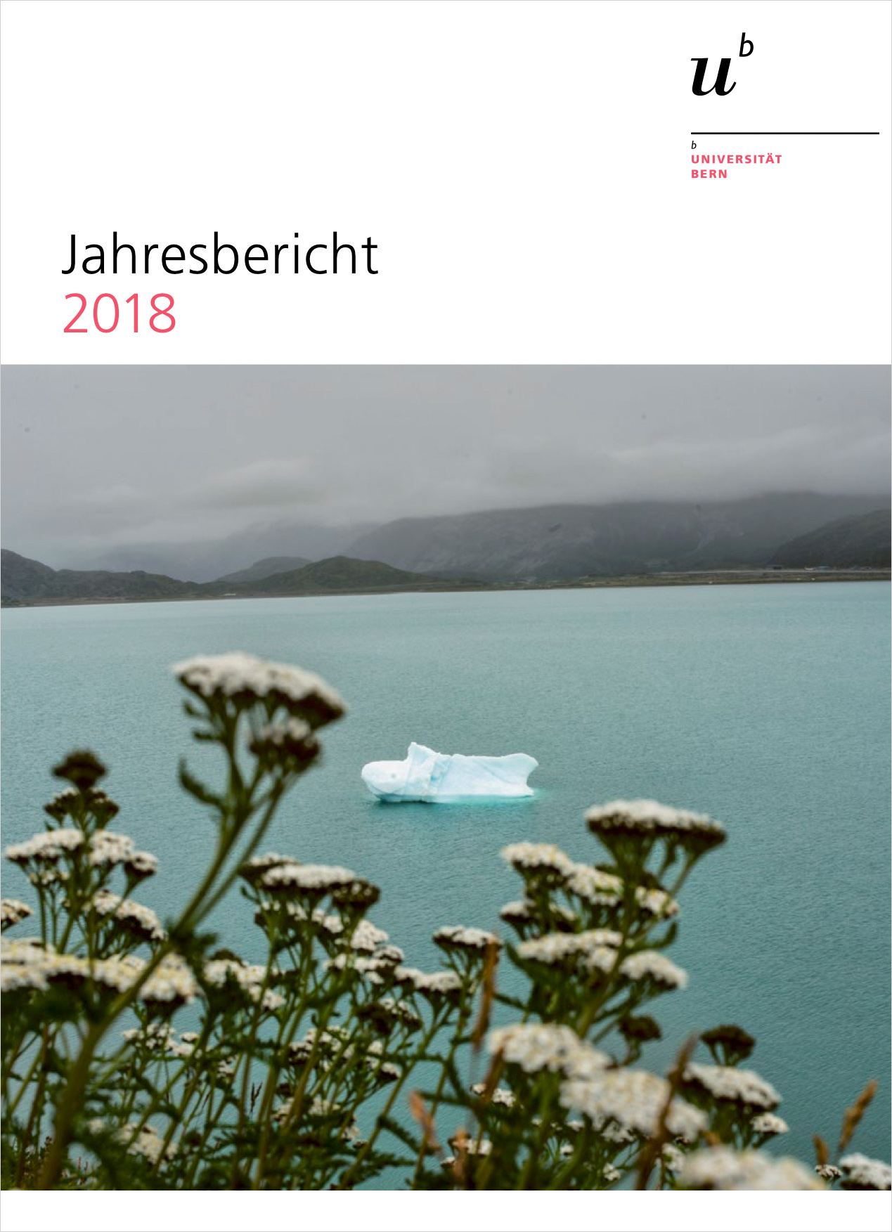 Die Titelseite des Jahresberichts 2018 der Universität Bern. © Universität Bern / Bild: KEYSTONE / NOOR / Kadir von Lohuizen