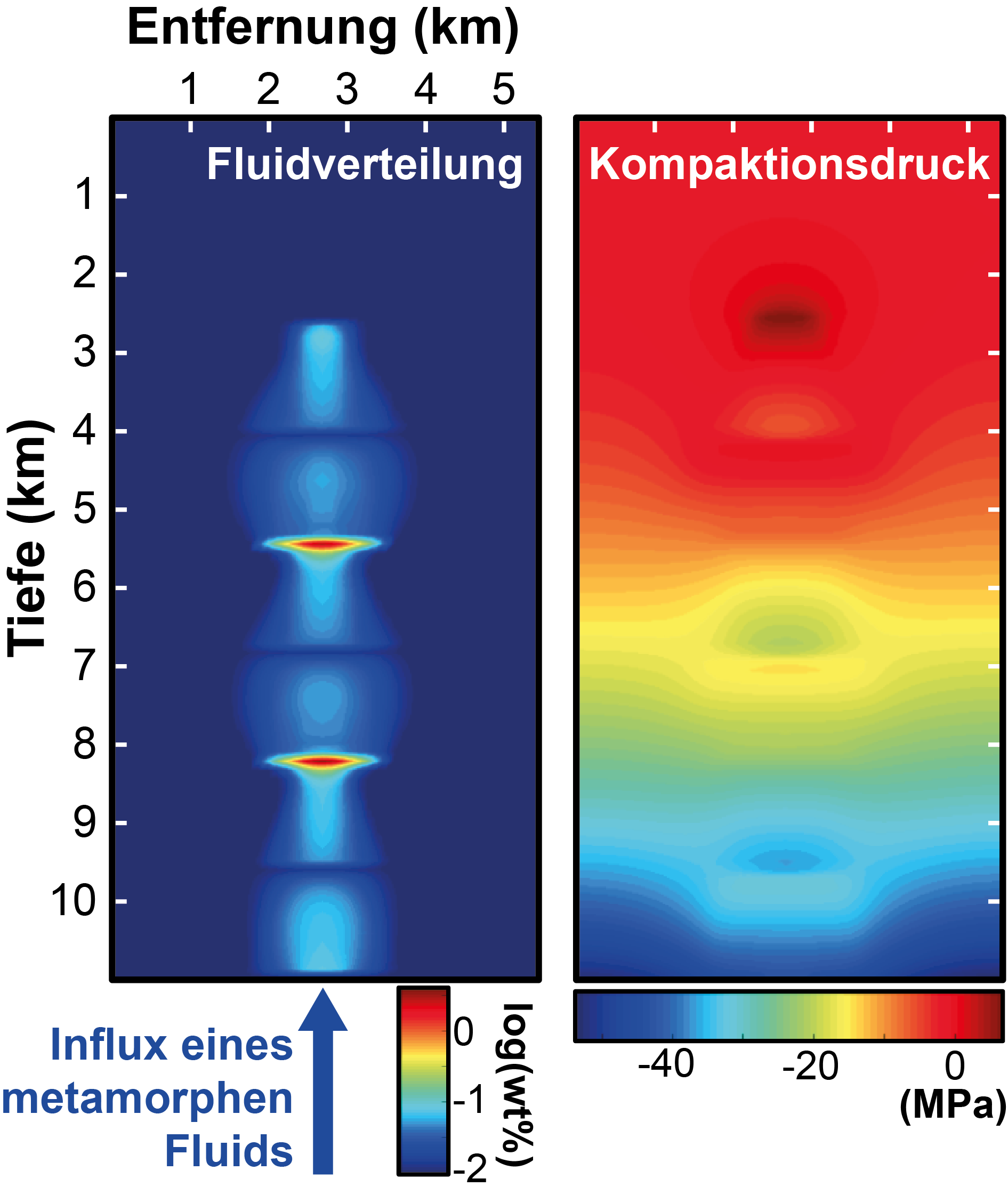 Beispiel einer numerischen Simulation des Fluidstroms in einem 2D-Krustenabschnitts aus Metasedimenten. Die Verteilung der Flüssigkeiten (links) und Fluidströmen wird durch den Kompaktionsdruck (rechts) der Gesteinsmatrix geregelt. Bild: © Pierre Lanari