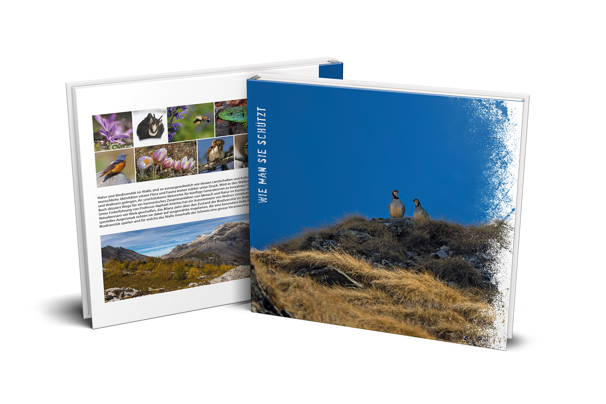 «Vögel und Biodiversität des Wallis: wie man sie schützt»: 248 Seiten voller atemberaubender Bilder und packender Texte. © Schweizerische Vogelwarte
