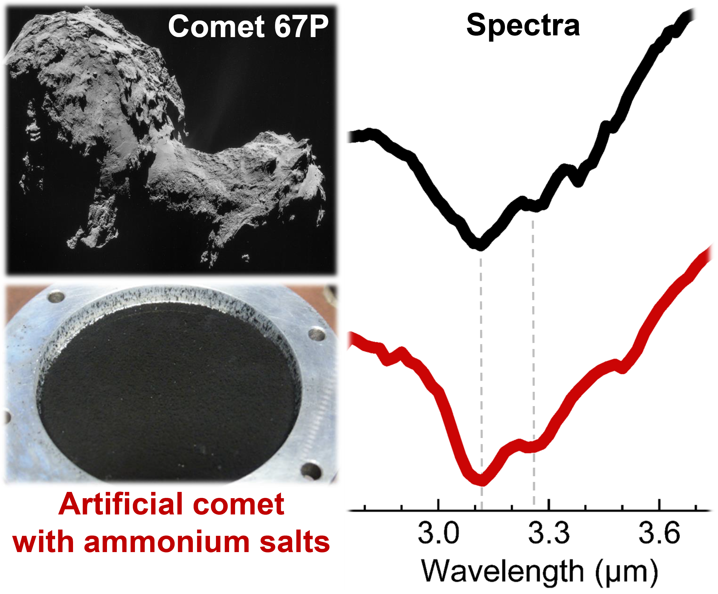 Vergleich des Spektrums des künstlichen Kometen mit Ammoniumsalz (in rot) mit dem Spektrum der Oberfläche des Kometen "Chury" (in schwarz). Der Kern des Kometen ist etwa 4 km lang (Bild oben links; Abspann: ESA/Rosetta/NAVCAM - CC BY-SA IGO 3.0 http://creativecommons.org/licenses/by-sa/3.0/igo/). Der künstliche Komet wird im Labor in einem Behälter mit 5 cm Durchmesser hergestellt (Bild unten links; Credits: Poch et al., 2020).