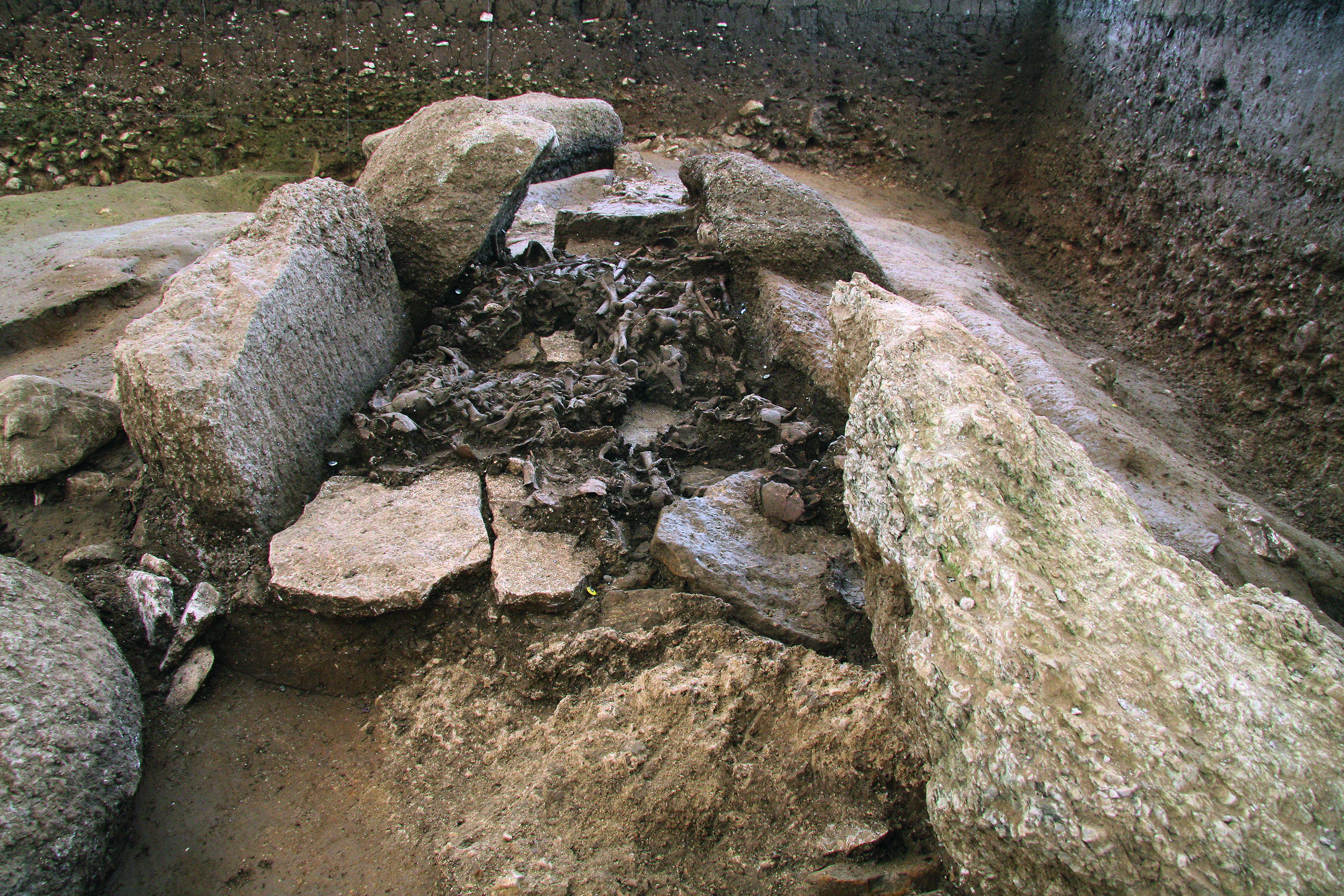 Schicht mit menschlichen Überresten in ihrer ursprünglichen Lage im Dolmen von Oberbipp. © Archäologischer Dienst des Kantons Bern