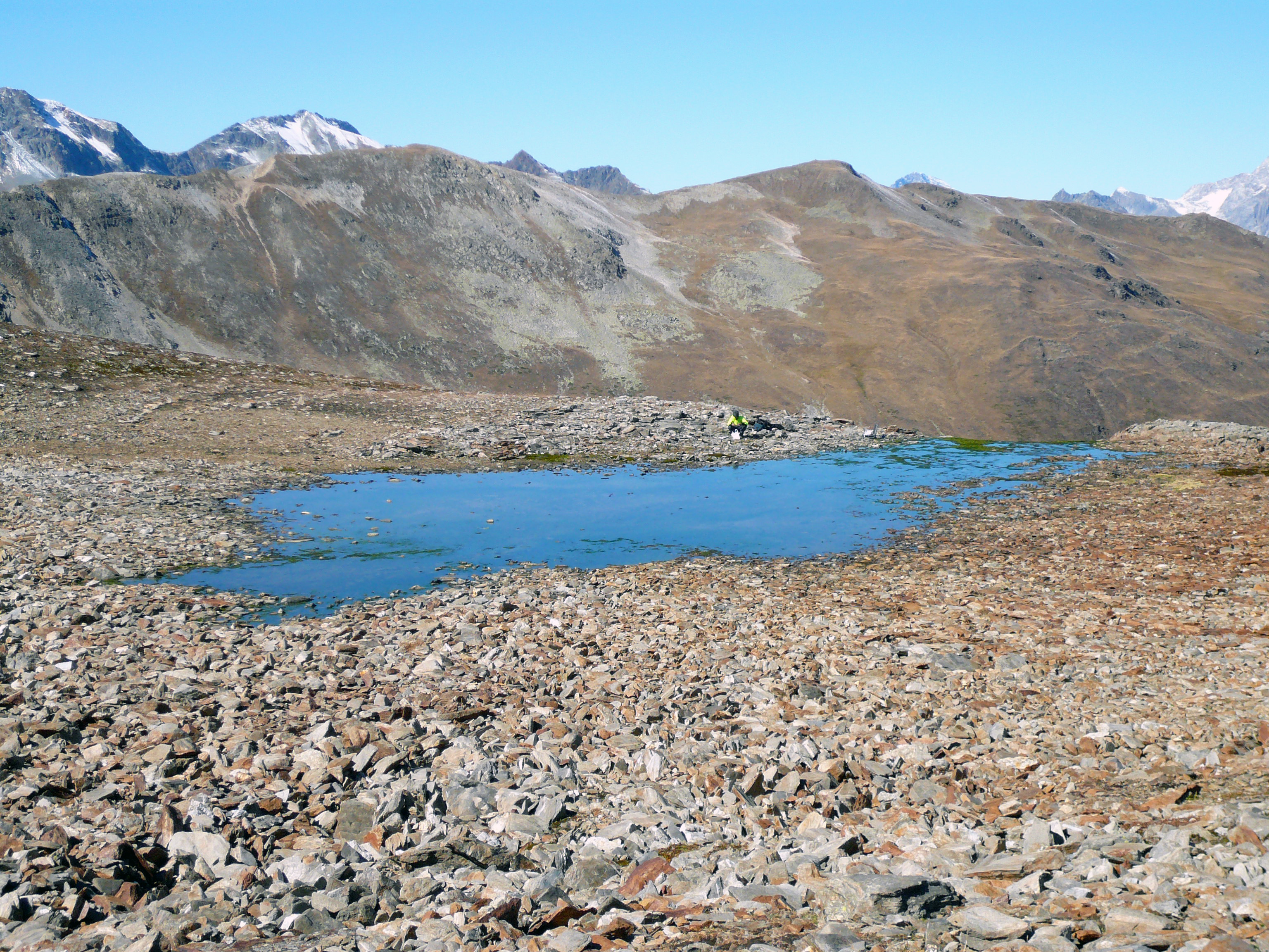Die Quelle des Bachs liegt in einem Permafrostgebiet. © Christoph Wanner, Institut für Geologie, Universität Bern