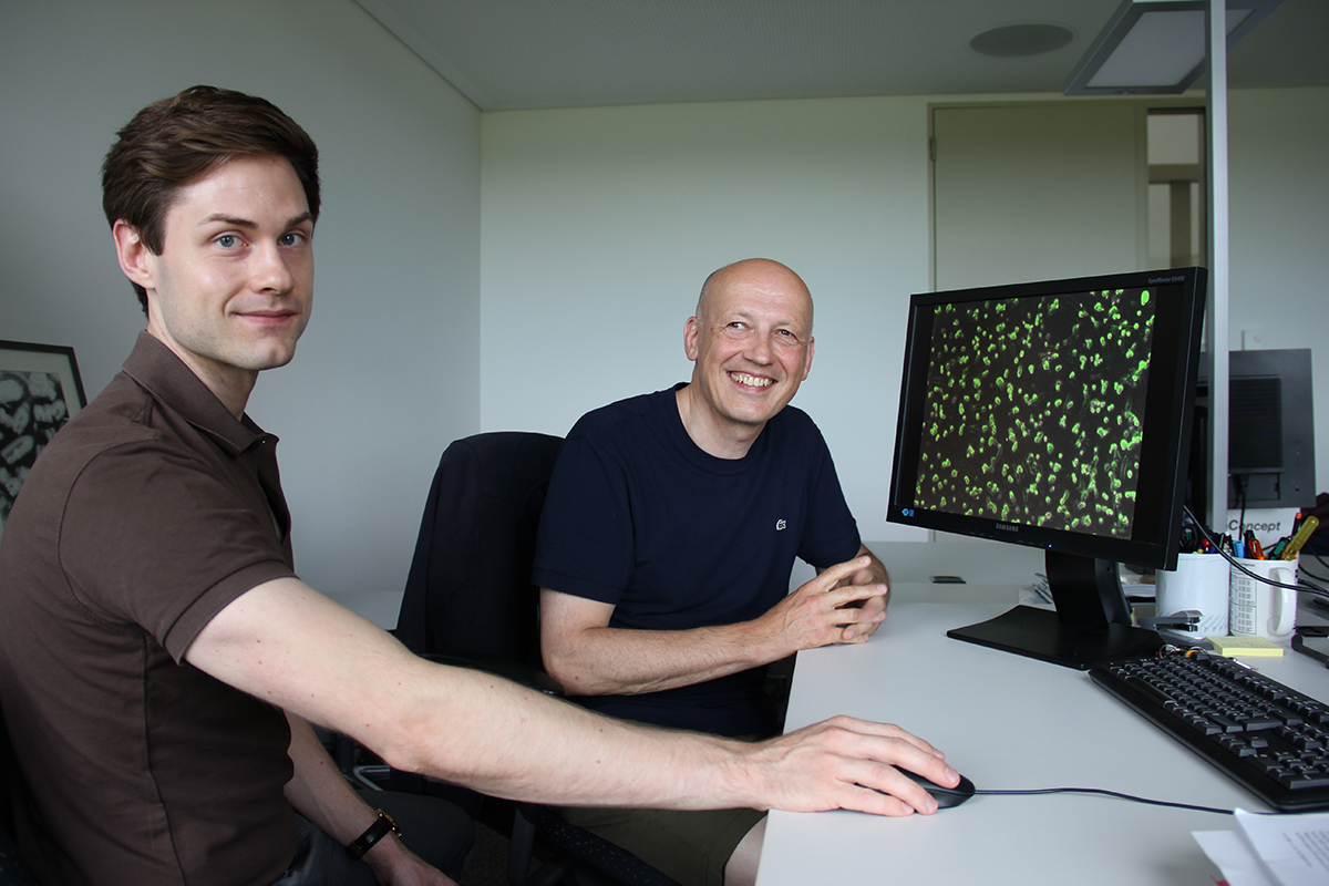 Ferdinand Zettl und Gert Zimmer vom IVI vor einer Aufnahme des von ihnen entwickelten Tests mit grün fluoreszierenden Zellen. © BLV/Renate Boss